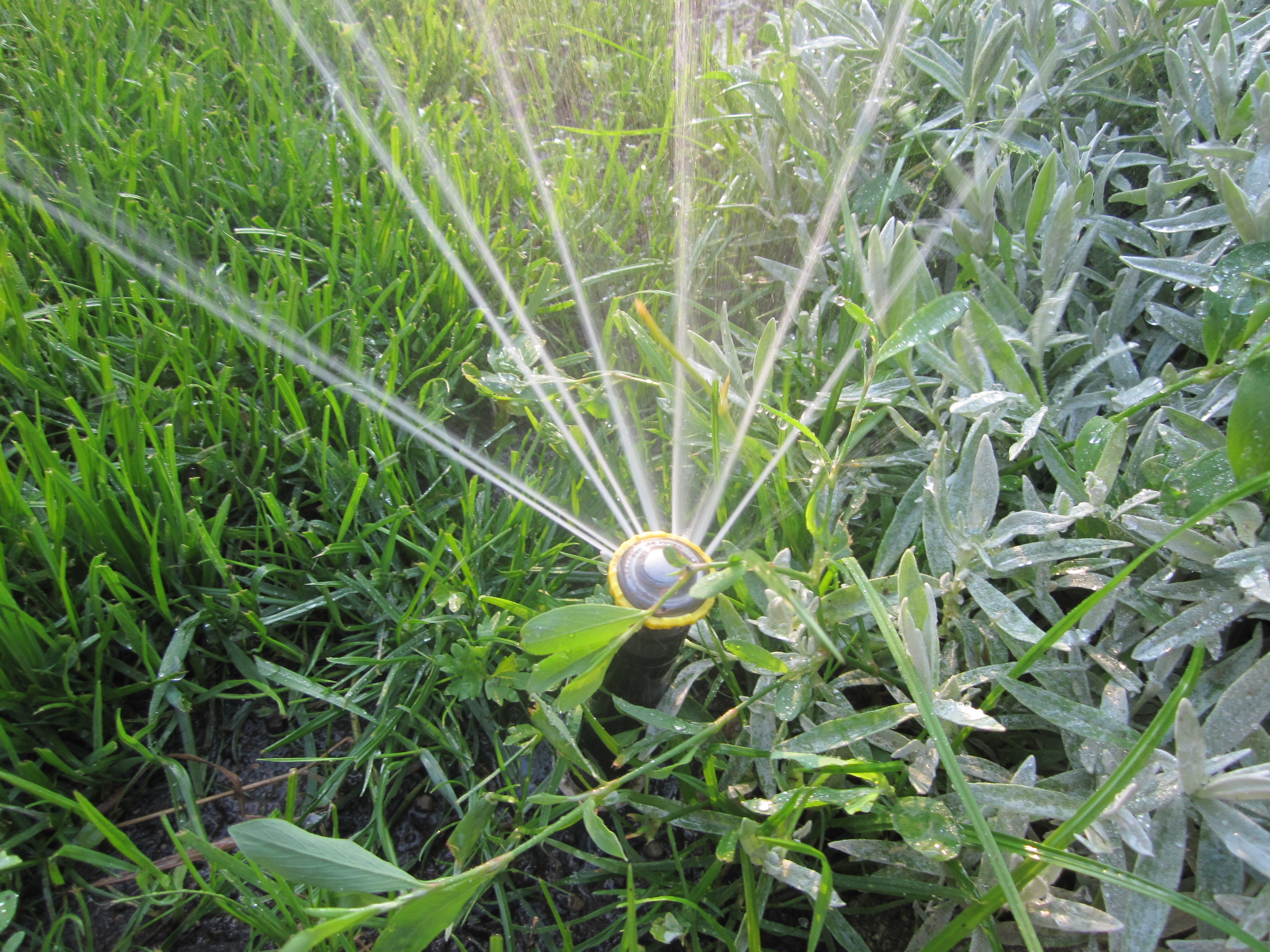 Bewässerung Neusiedl am See